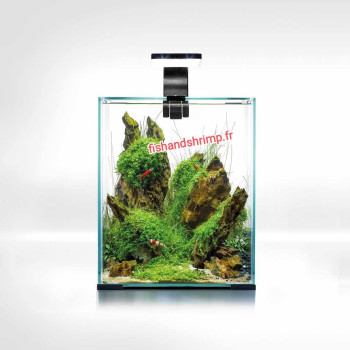 ENSEMBLE SHRIMP SMART D&N 19 litres Blanc aquael