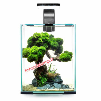 ENSEMBLE SHRIMP SMART D&N 10 litres NOIR aquael