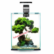 ENSEMBLE SHRIMP SMART D&N 10 litres NOIR aquael