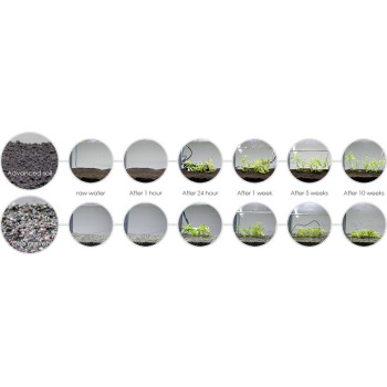 sol technique H.E.L.P.  PLANTS
