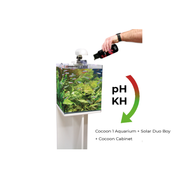 PH Minus