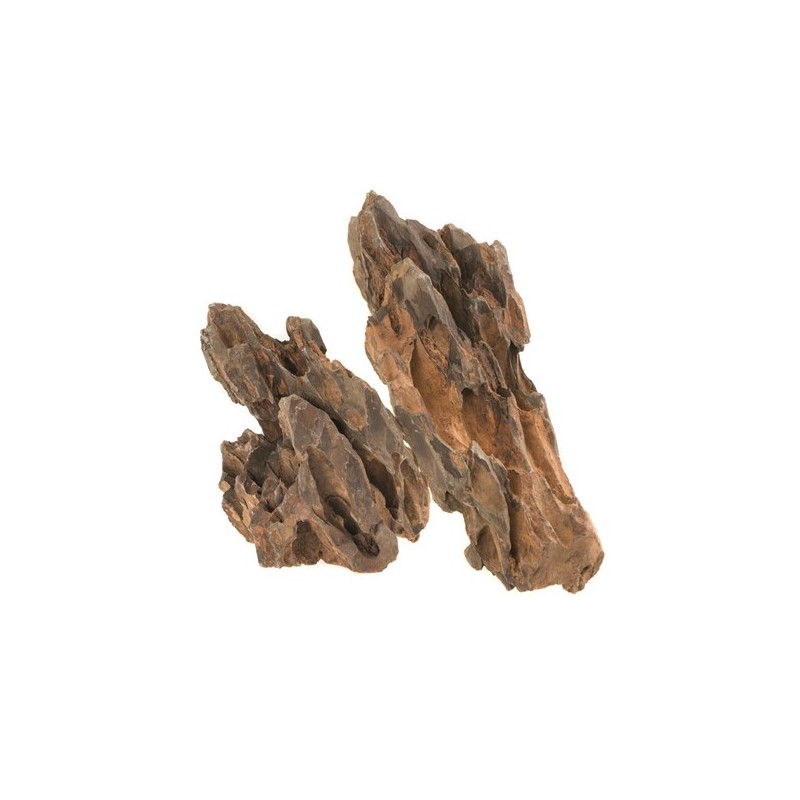 MIX PIERRE DE DINOSAURE BONE