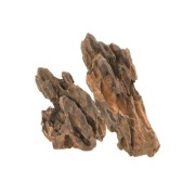 MIX PIERRE DE DINOSAURE BONE