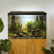 LEDDY XL DAY&NIGHT