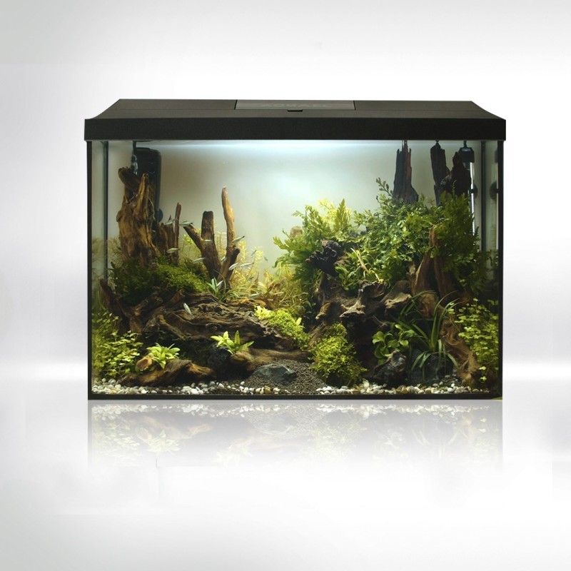 ENSEMBLE AQUARIUM LEDDY 60 XL NOIR Day&Night 2.0