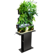 MODÈLE MURAL VERSA GARDEN PLUS