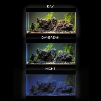 AQUARIUM OPTI SET  NOIR led 2.0 2x17w