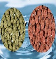 Nourriture en pastille