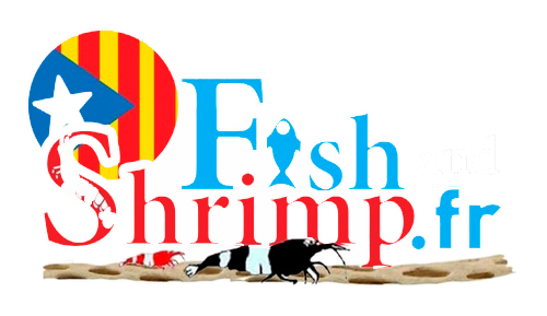 Fishandshrimp