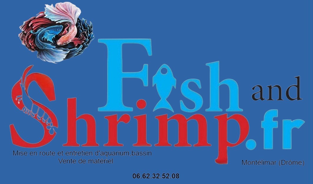 Fishandshrimp